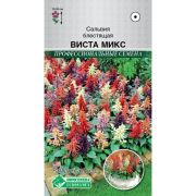 Сальвия блестящая «Виста микс»