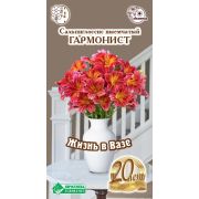 Сальпиглоссис выемчатый «Гармонист»/ Евросемена