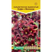Сальпиглоссис выемчатый «Кофе с Молоком»