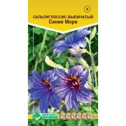 Сальпиглоссис выемчатый «Синее Море»