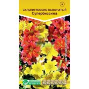Сальпиглоссис выемчатый «Супербиссима смесь»