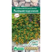 Санвиталия распростертая «Маленькие Подсолнухи»