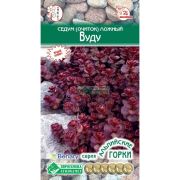 Седум (очиток) ложный «Вуду»