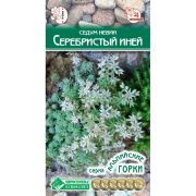Седум невии «Серебристый Иней»