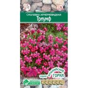 Смолевка армериевидная «Триумф»