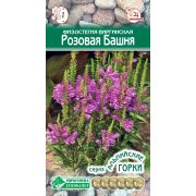 Физостегия виргинская «Розовая Башня»