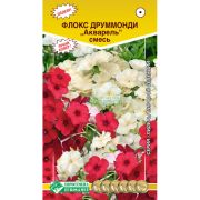 Флокс друммонди «Акварель» смесь