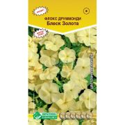 Флокс друммонди «Блеск Золота»/ Евросемена