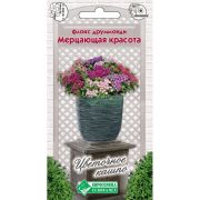 Флокс друммонди «Мерцающая красота смесь»/ Евросемена