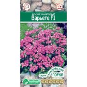 Флокс махровый «Варьете F1»
