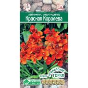 Хейрантус (Желтушник) «Красная Королева»