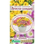 Цветочная композиция «Лучистое Солнышко»