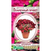 Цветочная композиция «Пламенный Привет»