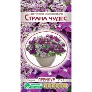 Цветочная композиция «Страна Чудес»