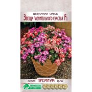 Цветочная смесь «Звезда пленительного счастья»