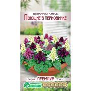 Цветочная смесь «Поющие в Терновнике»