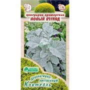 Цинерария приморская «Новый Взгляд»