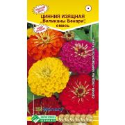 Цинния изящная «Великаны Бенари смесь»/ Евросемена