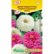 Цинния изящная «Кураж Первое Свидание»/ Евросемена
