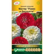 Цинния изящная «Мастер Ромео и Джульетта»/ Евросемена
