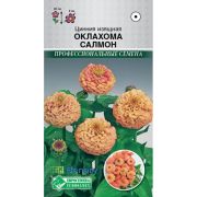 Цинния изящная «Оклахома Салмон»