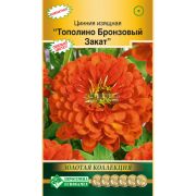 Цинния изящная «Тополино Бронзовый Закат»