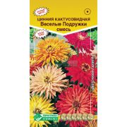 Цинния кактусовидная «Веселые Подружки смесь»