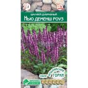 Шалфей дубравный «Нью Деменш Розе»