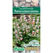 Шалфей красный «Колибри Коралловая Нимфа»