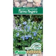 Шалфей отклоненный «Патио Индиго »