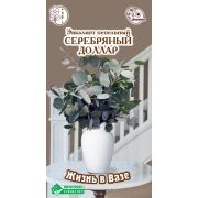 Эвкалипт пепельный «Серебряный Доллар»/ Евросемена