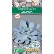 Эхеверия Пеакоцкого «Десмета»