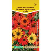 Эхинацея пурпурная «Осенняя Красавица смесь»