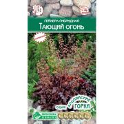 Гейхера гибридная «Тающий Огонь»
