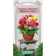 Георгина гибридная «Фреска смесь»