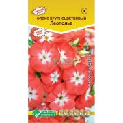 Флокс крупноцветковый «Леопольд»