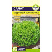 Зелень Салат Кудрявый Мальчонка/Сем Алт/цп 0,5 гр.
