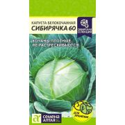 Капуста Сибирячка 60/Сем Алт/цп 0,5 гр. Сибирская Селекция!