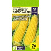 Кукуруза Кубанский Сахарный 210/Сем Алт/цп 5 гр.