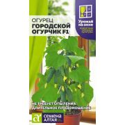 Огурец Городской Огурчик F1/Сем Алт/цп 5 шт. УРОЖАЙ НА ОКНЕ!
