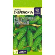 Огурец Зубренок F1/Сем Алт/цп 0,3 гр.