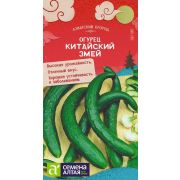 Огурец Китайский Змей F1/Сем Алт/цп 6 шт. АЗИАТСКИЙ ОГОРОД!