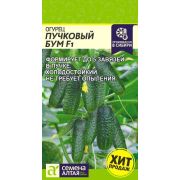 Огурец Пучковый Бум F1/Сем Алт/цп 5 шт.