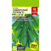 Огурец Сибирский Пучок F1/Сем Алт/цп 5 шт.