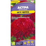 Цветы Астра Игл Черри/Сем Алт/цп 0,2 гр.