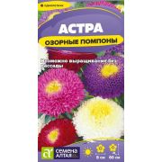 Цветы Астра Озорные Помпоны/Сем Алт/цп 0,2 гр.