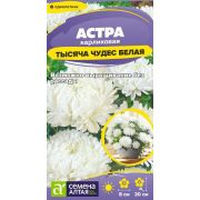 Цветы Астра Тысяча чудес белая карликовая/Сем Алт/цп 0,15 гр.