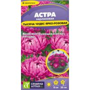 Цветы Астра Тысяча чудес ярко-розовая карликовая/Сем Алт/цп 0,15 гр.