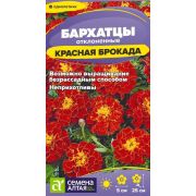 Цветы Бархатцы Красная Брокада махровые/Сем Алт/цп 0,2 гр.