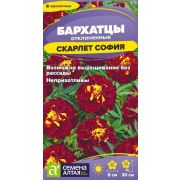 Цветы Бархатцы Скарлет София махровые/Сем Алт/цп 0,2 гр.